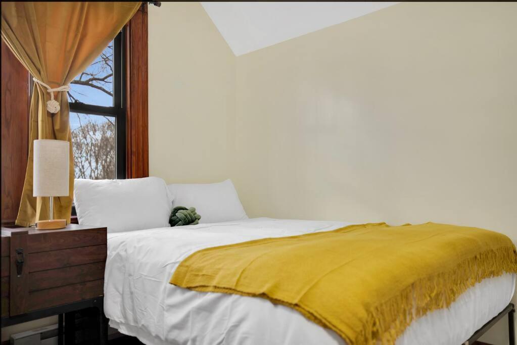 Golden Gem In Heart Of East Rock Quiet 3Br Near Dt And Yale Lägenhet New Haven Exteriör bild